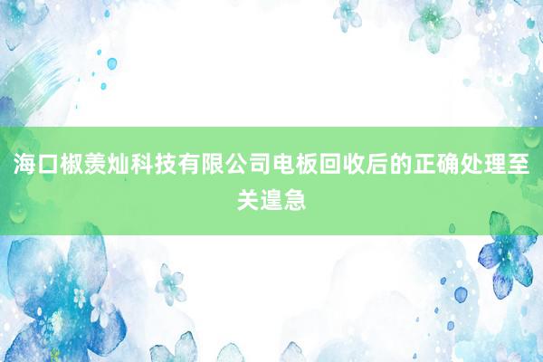 海口椒羡灿科技有限公司电板回收后的正确处理至关遑急