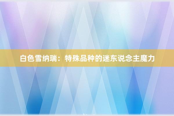 白色雪纳瑞：特殊品种的迷东说念主魔力